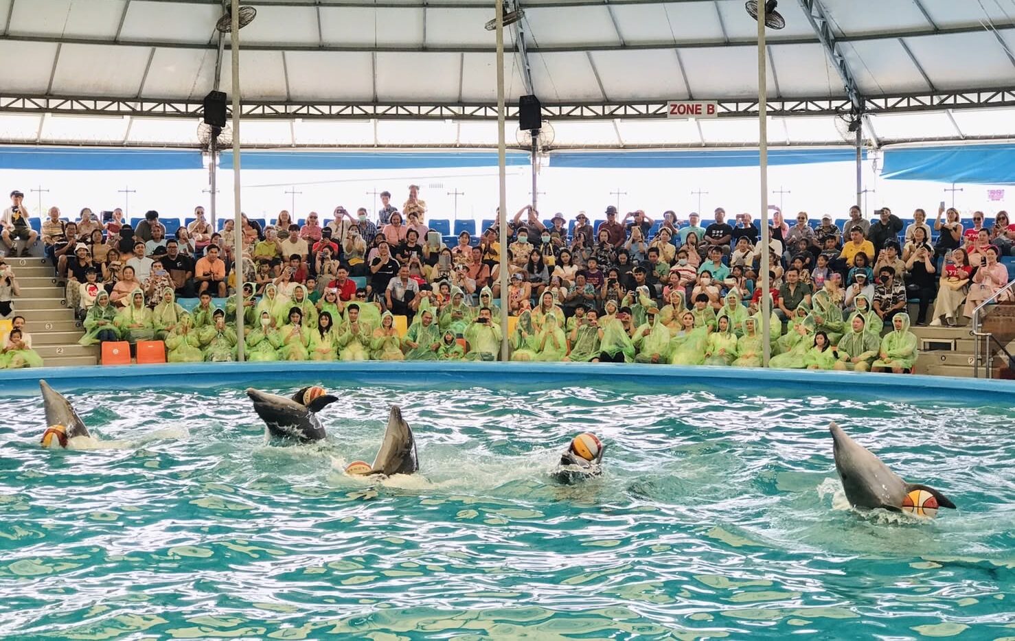 ครอบครัวรับชมการแสดงที่ Dolphins Bay Phuket