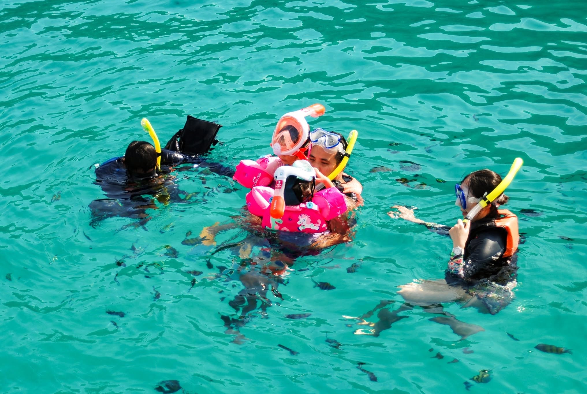 กิจกรรมดำน้ำตื้น เกาะเฮเกาะราชา