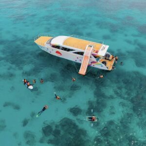 Premium speed catamaran anchored at a snorkeling site