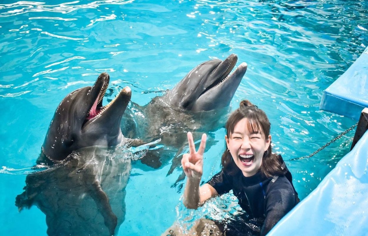 นักท่องเที่ยวถ่ายภาพกับโลมาที่ Dolphins Bay Phuket